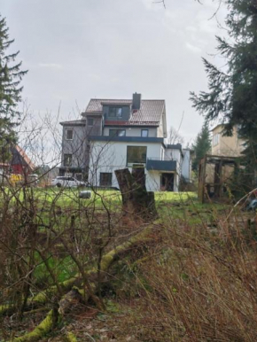 Ferienhaus Fichtenrauschen